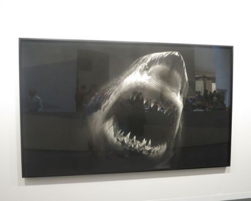 Miami Art Basel - OLAN - Galerie Bild 6